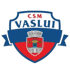 CSM华斯雷logo