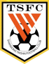 山东泰山U17logo