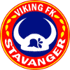 维京U19logo