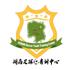 湖南足球青训中心U13