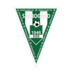 萨尔博加德logo