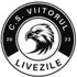 Vointa Livezile