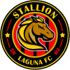 Stallion Laguna FC (W)logo