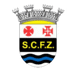 费雷拉泽泽雷