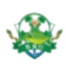 寿洞村足球队