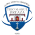 CS布雷亚萨logo