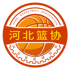 湖北女篮
