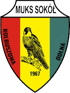 Sokol Kolbuszowa Dolna