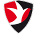 切尔滕汉姆女足logo