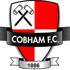 客队图片 Cobham